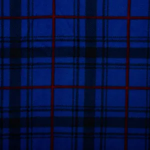 Anti Pill Fleece Print - SLIPPY - Plaids - Cobelt blue