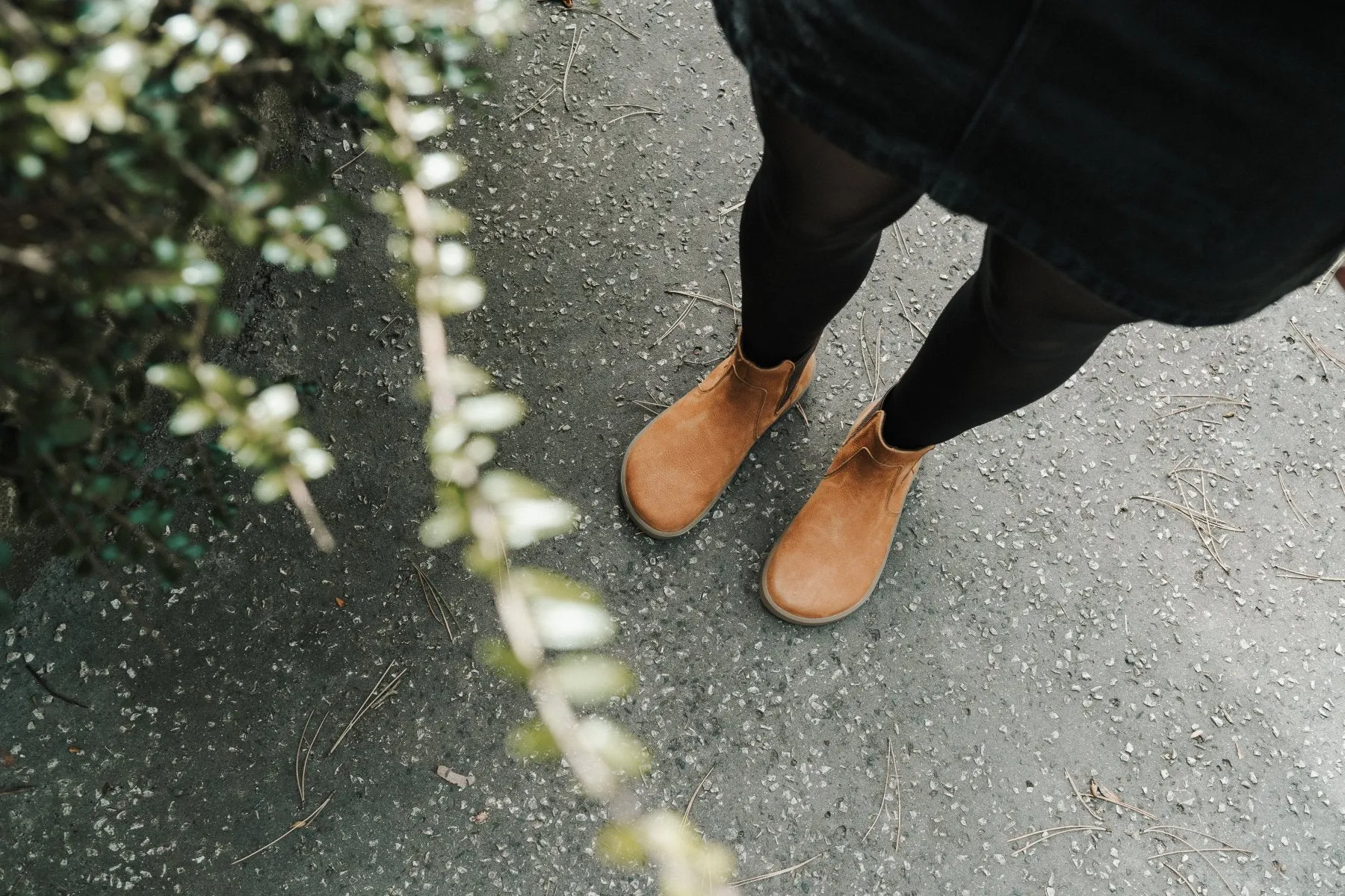 Barefoot Boots Be Lenka Entice Neo - Cinnamon Brown Shoes_Be Lenka_Footwear