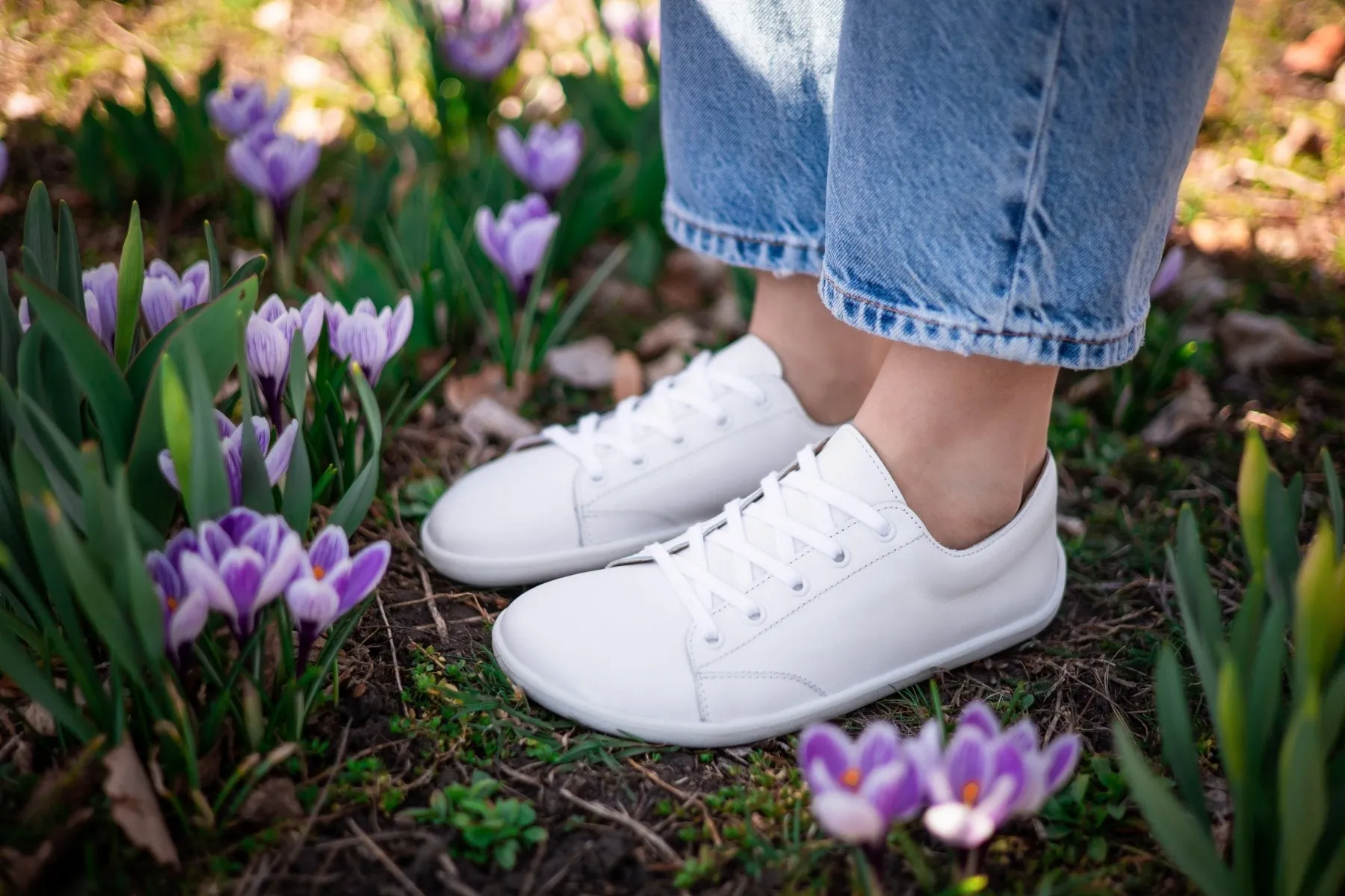 Barefoot Sneakers - Be Lenka Prime 2.0 - White Shoes_Be Lenka_Footwear