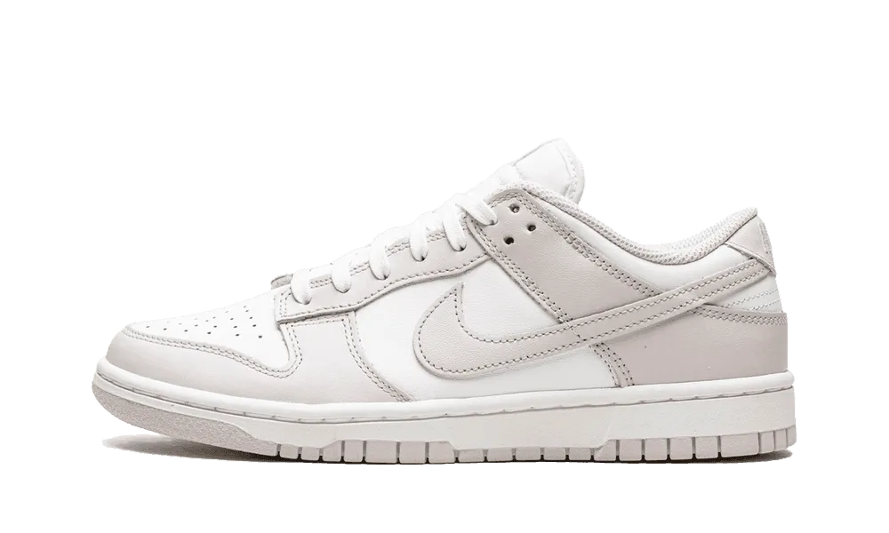 Nike	Sneakers Nike Dunk Low 'Venice'