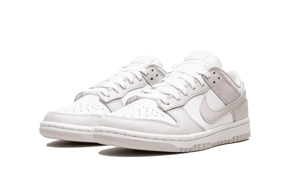 Nike	Sneakers Nike Dunk Low 'Venice'