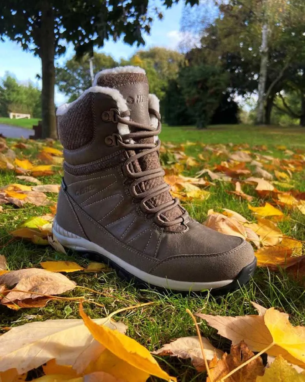 Shoes Hi-Tec Hi-Tec Womens Riva Mid Boots